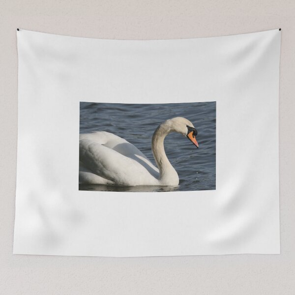 Item preview, Swan of the Lost Lagoon... designed and sold by RichImage.