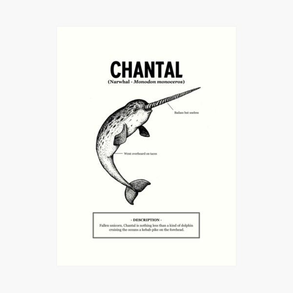 A narwhal named Chantal Impression artistique