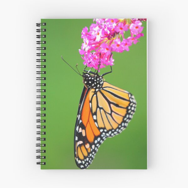 Item preview, The Flower And The Butterfly designed and sold by CBoyle.