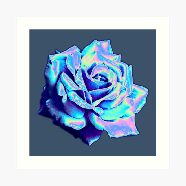 Blue Rose Art Print