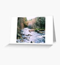 Lassen County Creek Greeting Card