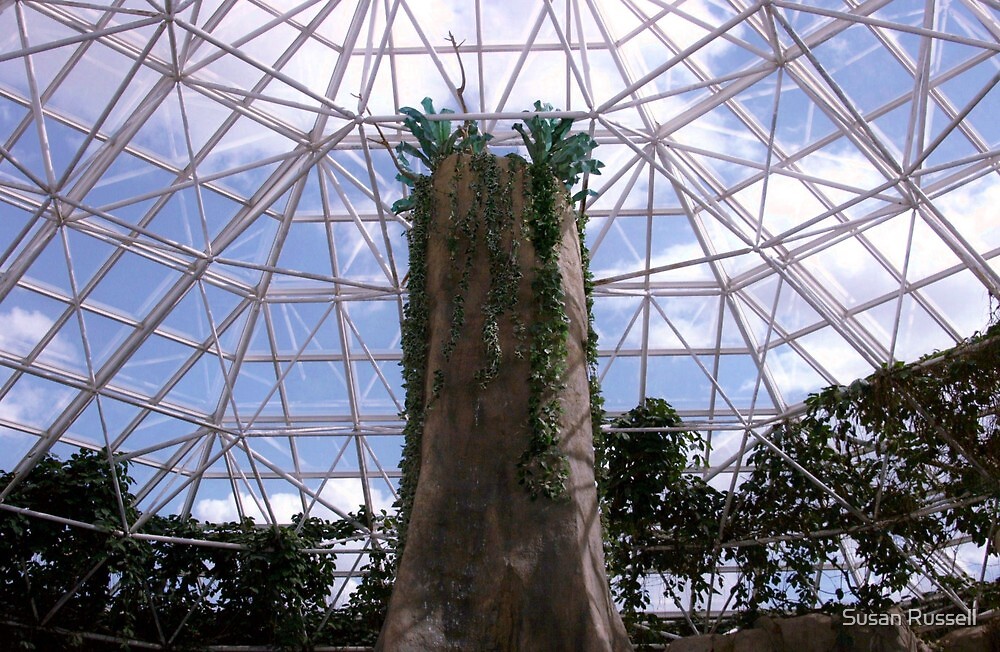 "Inside the Primate House at the Fort Worth Zoo" by Susan Russell