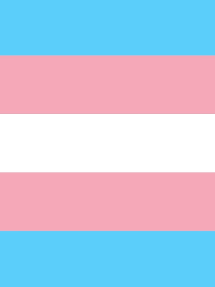 Transgender Pride Flag by allhistory