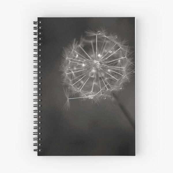 Item preview, Raindrops on seeds designed and sold by miradorpictures.