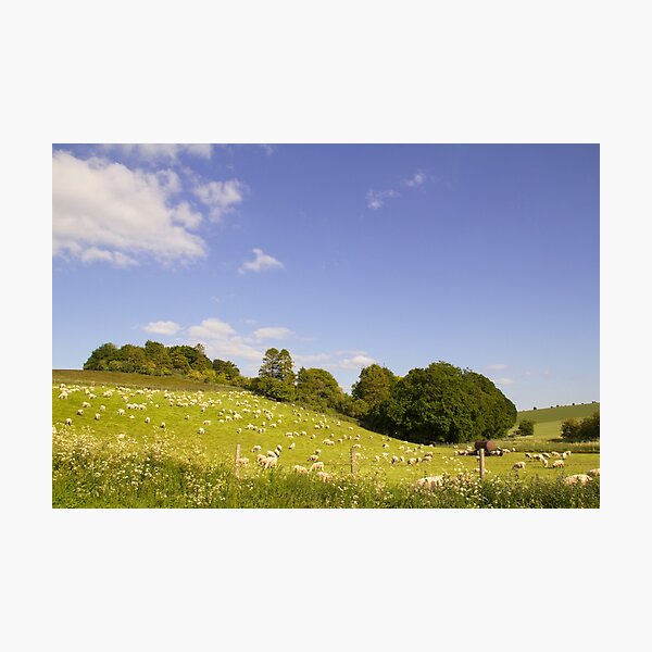Item preview, Pastoral designed and sold by MigBardsley.