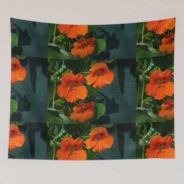 Item preview, Nasturtium looks good in Farm garden Spring 2018 designed and sold by EdsMum.