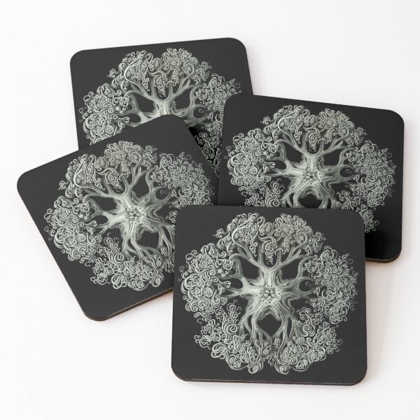 Item preview, Ernst Haeckel - Ophiodea Gorgonocephalidae designed and sold by ShaMiLaB.