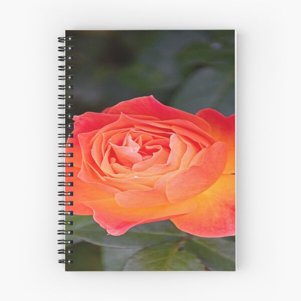 Item preview, Hermosa naturaleza designed and sold by RedVico.