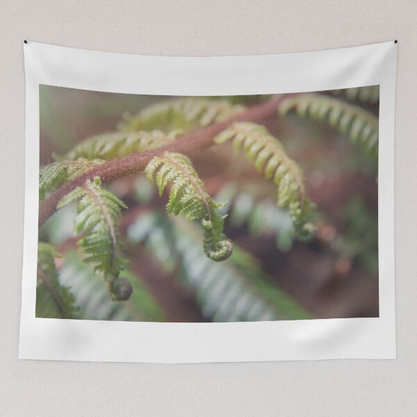 Item preview, New Zealand Fern designed and sold by PhotoArt by Joan Carroll.