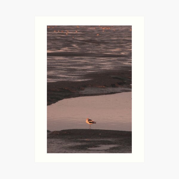 Sunset on the mud flats of San Francisco Bay Art Print