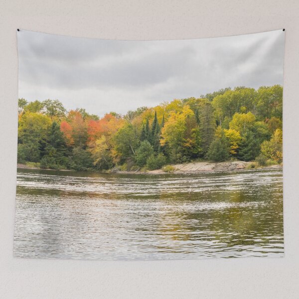 Item preview, Silver and Gold Currents - Mississagi River Autumn  designed and sold by Georgia Mizuleva.