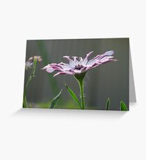 Macro Flower Greeting Card