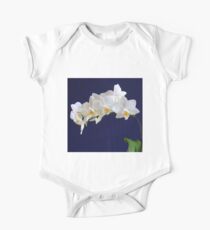 Orchid Magnificence. One Piece - Short Sleeve