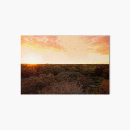 Item preview, Treetop Sunset designed and sold by misimichu.