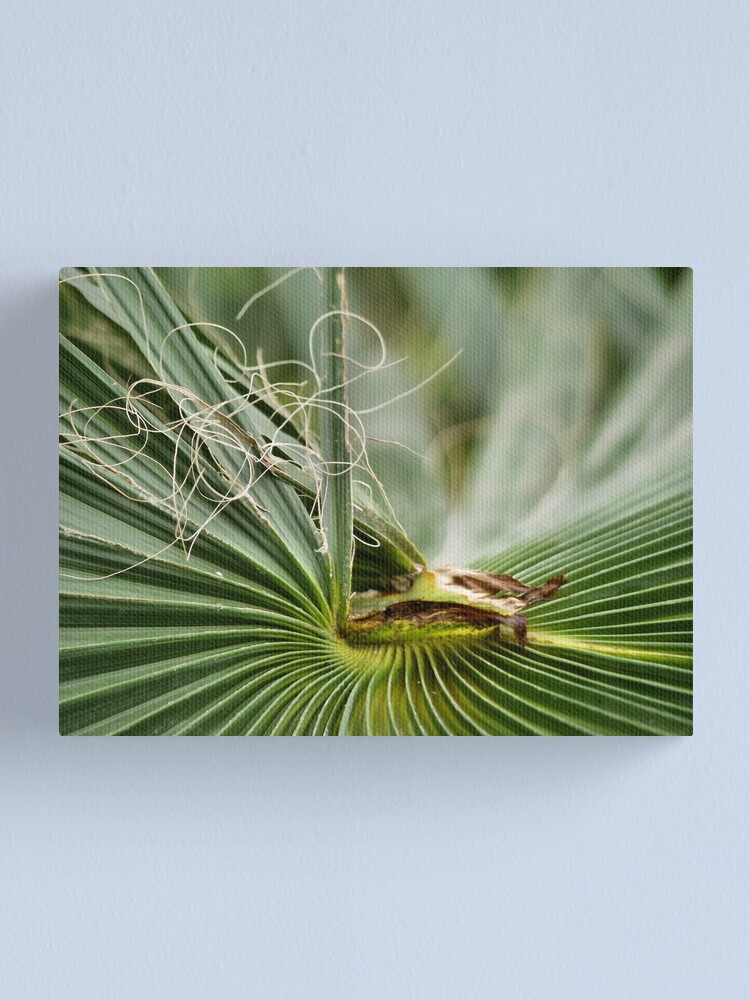 Alternate view of Straight and curvy Canvas Print