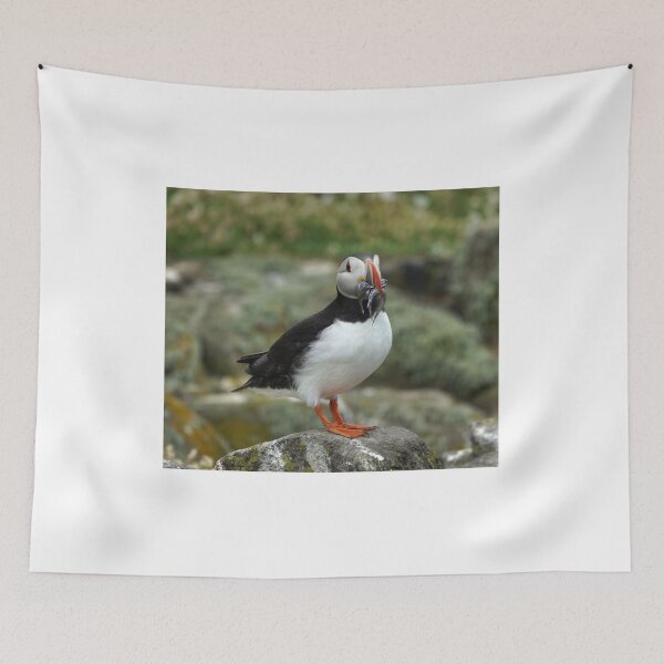 Item preview, Atlantic Puffin designed and sold by AlbaPhotography.