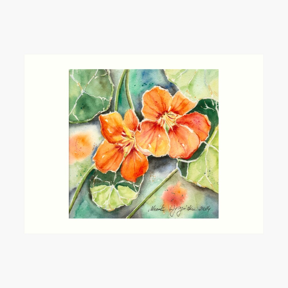 Poppies and Nasturtiums buy Watercolour Print