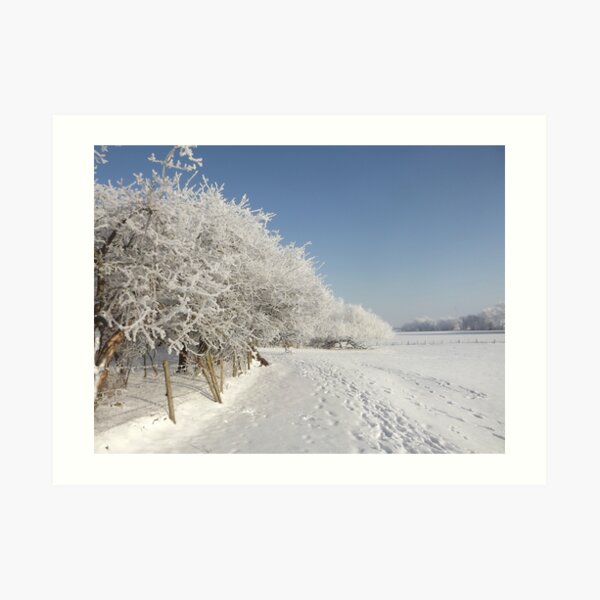 Snow on the river bank Art Print