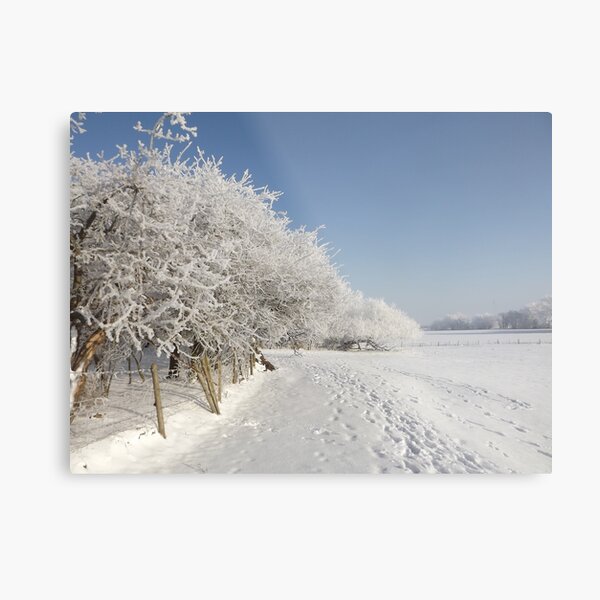 Snow on the river bank Metal Print