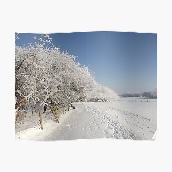 Snow on the river bank Poster