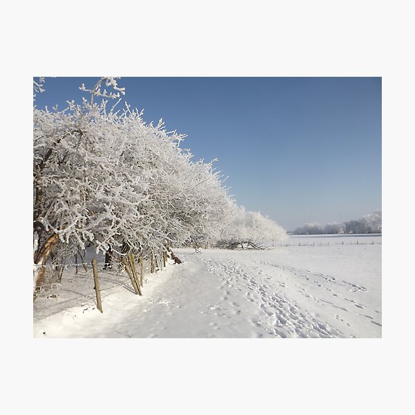 Snow on the river bank Photographic Print