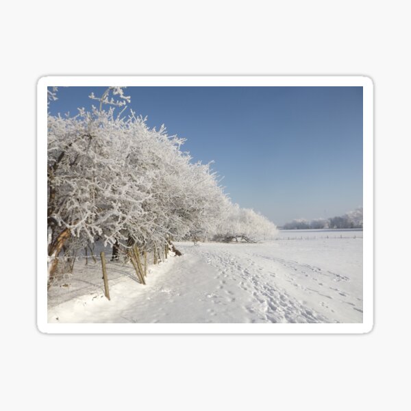 Snow on the river bank Sticker
