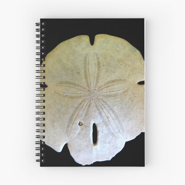 Item preview, Sanddollar designed and sold by artdude.