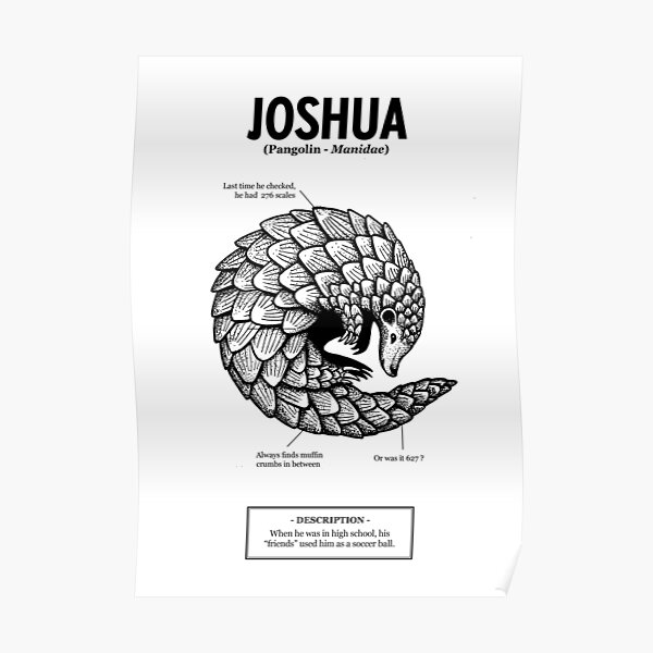 ses «amis» utilisaient Joshua comme ballon de foot. Poster