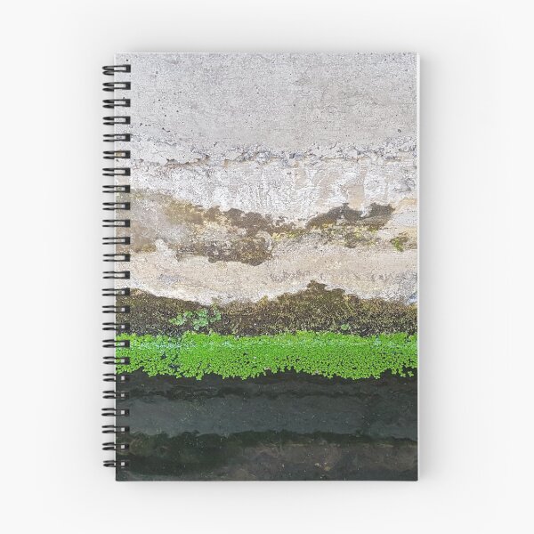 Item preview, Levada on Madeira 1 designed and sold by raumbildwelt.