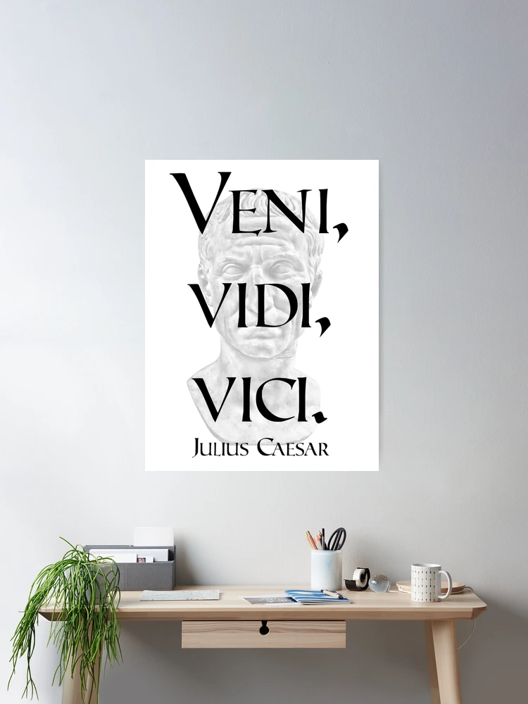 Veni Vidi Vici Posters - CafePress