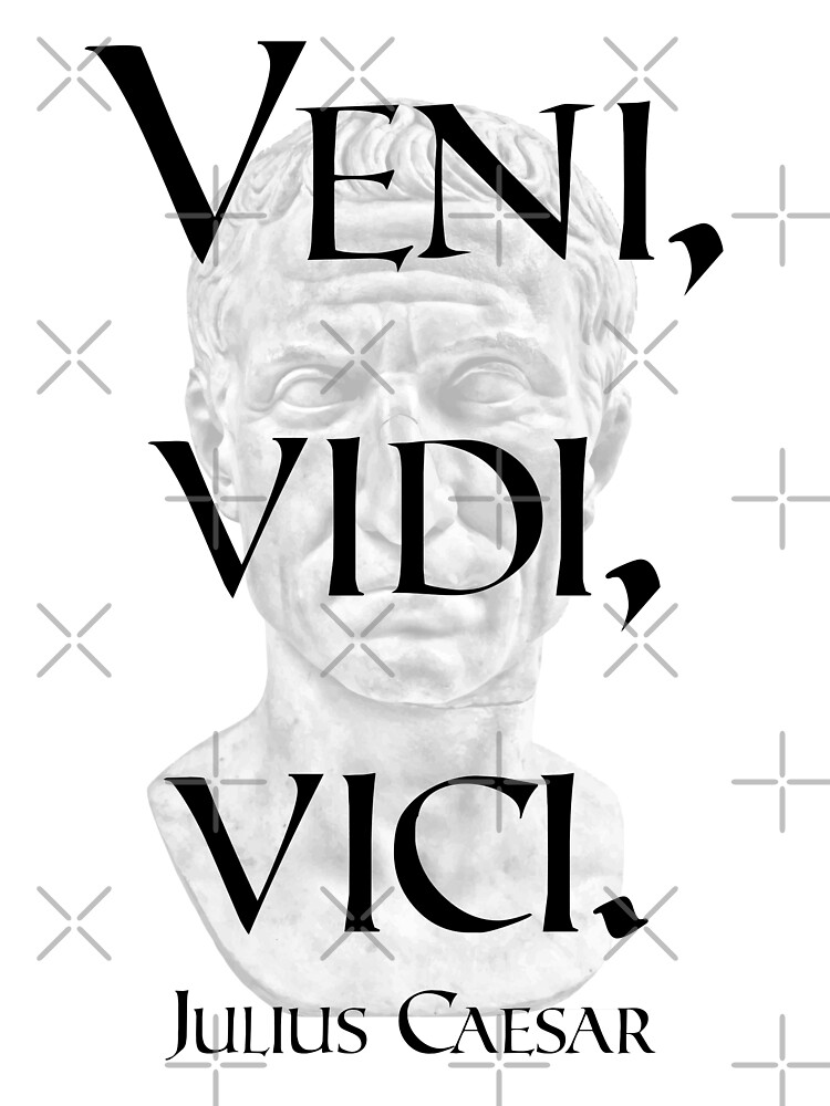 Veni Vidi Vici Latin Quote Poster Translation I Came I Saw I Conquered  Inspirational Quote Stock Illustration - Download Image Now - iStock