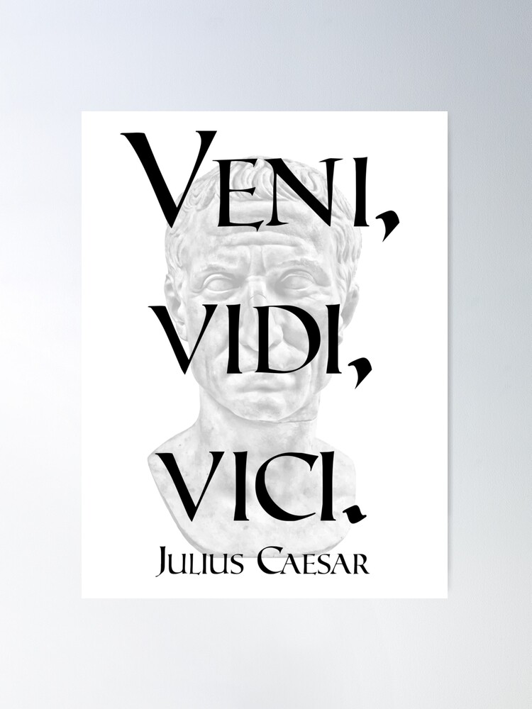 Veni Vidi Vici. Latin Quote Poster Stock Vector - Illustration of poster,  simple: 192202304