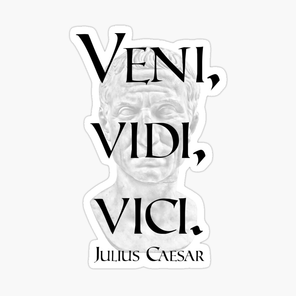 Veni, vidi, vici: a famous saying – STAR Translation Services