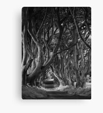 Dark Hedges, Co. Antrim, N. Ireland Canvas Print