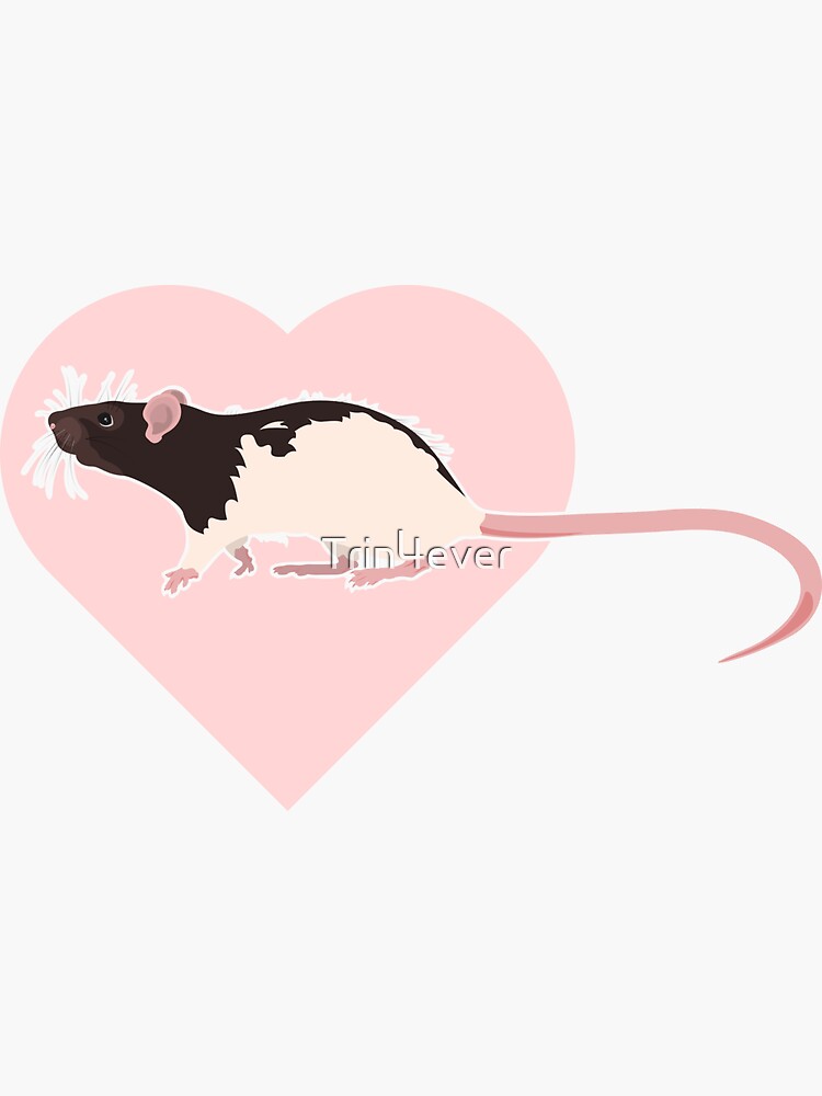Hooded Rat with heart 2 by Trin4ever