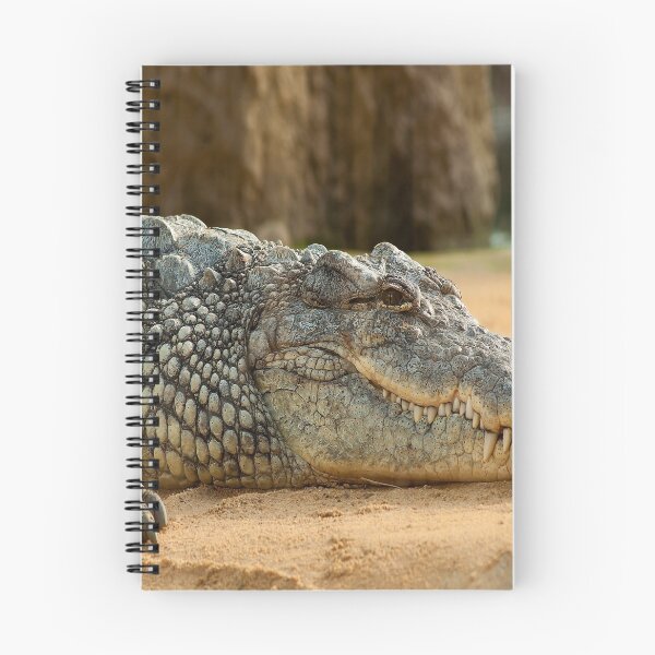 Item preview, Crocodile designed and sold by RedVico.