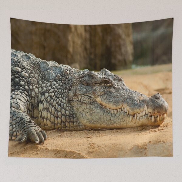 Item preview, Crocodile designed and sold by RedVico.