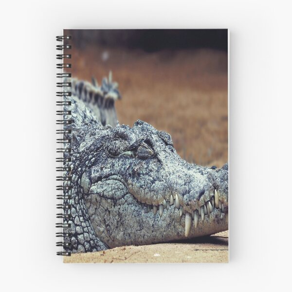Item preview, Crocodile designed and sold by RedVico.