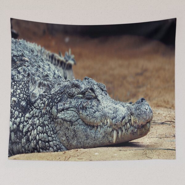 Item preview, Crocodile designed and sold by RedVico.