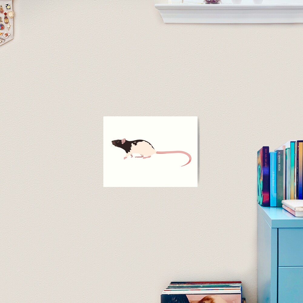 Hooded Rat 2 Art Print