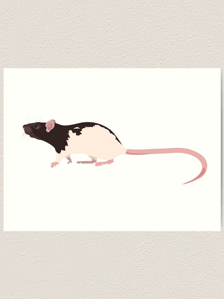 Alternate view of Hooded Rat 2 Art Print