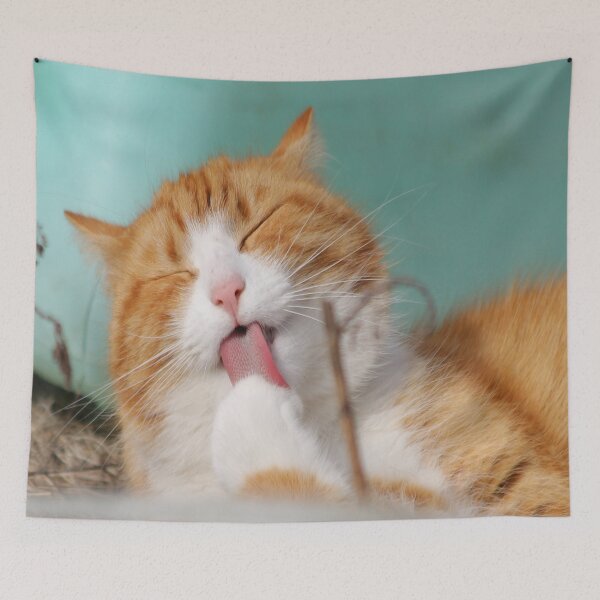 Item preview, Cute cat designed and sold by RedVico.