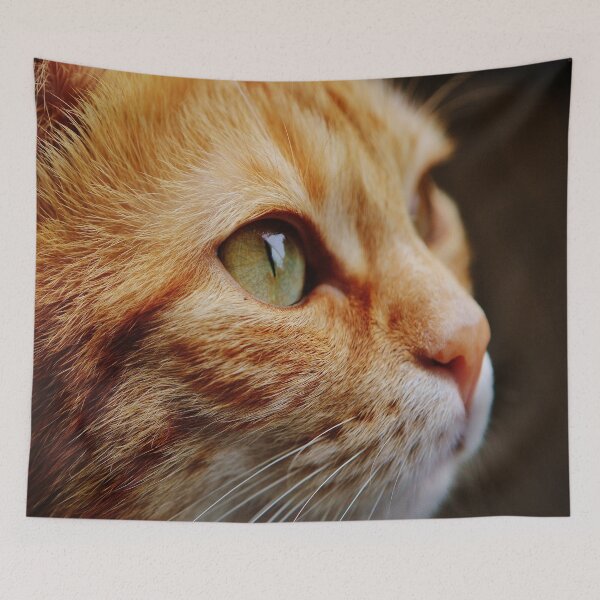 Item preview, Cute cat designed and sold by RedVico.