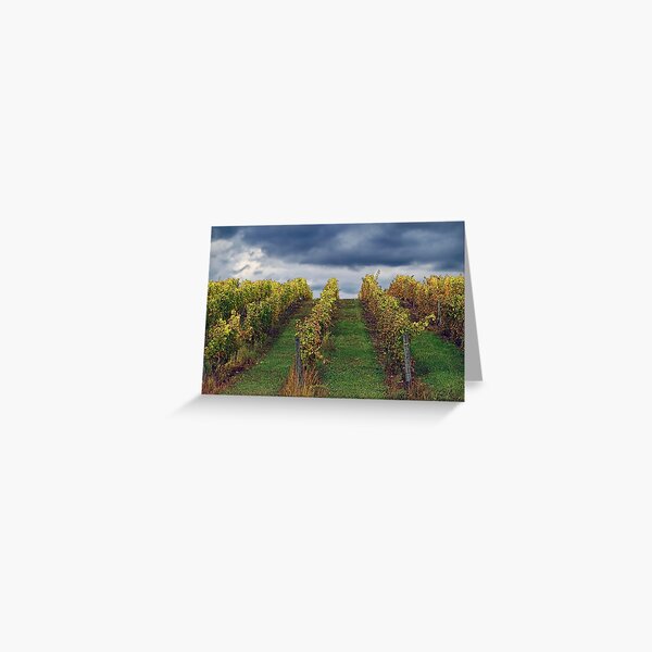 Item preview, Grapevines in Traverse City designed and sold by Terry Doyle.
