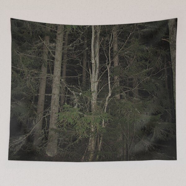 Item preview, Night Forest designed and sold by ArtOfE.