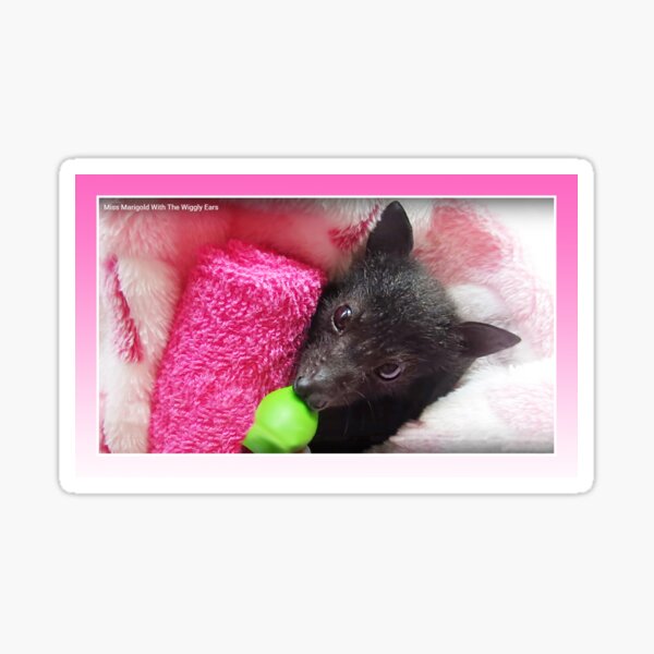 Batzilla - Batty for PINK! Miss Marigold with the Wiggly Ears Sticker