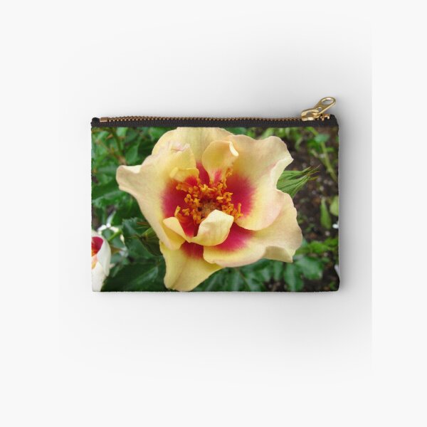 Item preview, Bulleseye Rose designed and sold by MarianBendeth.