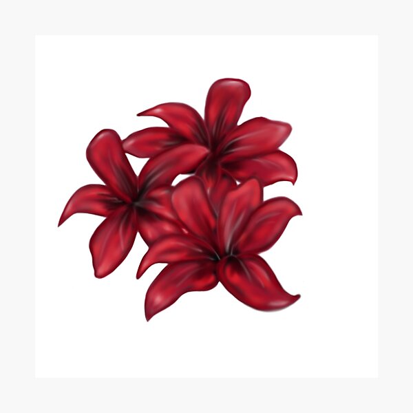 Rote Blüten / rote Blumen Fotodruck