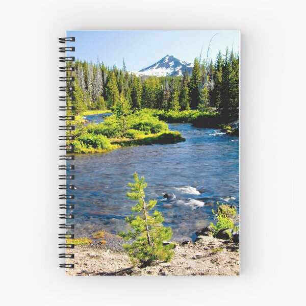 Item preview, Greenlake trailhead V designed and sold by jklune.