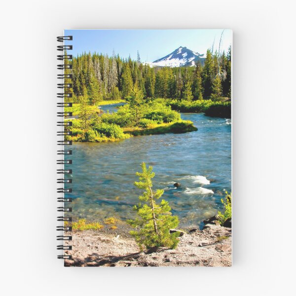 Item preview, Greenlake trailhead H designed and sold by jklune.
